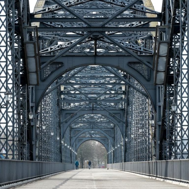 Choosing Between a Bridge and an Implant